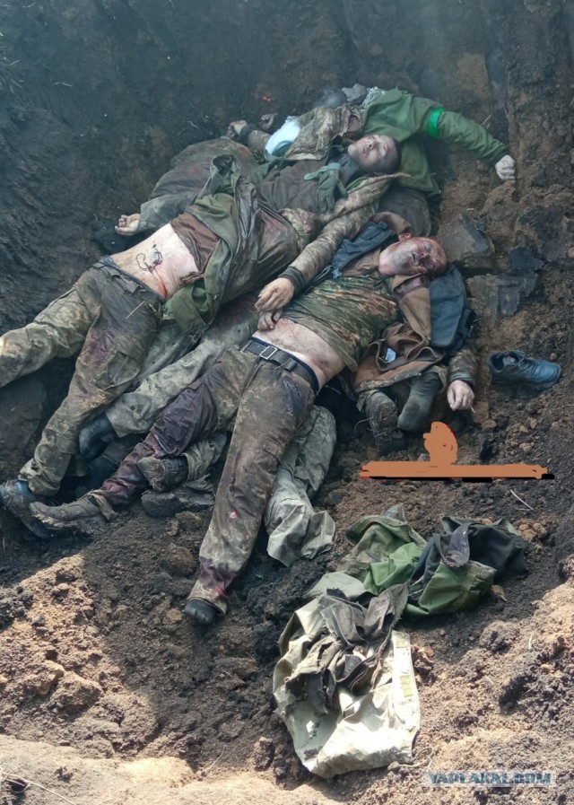 «Пап, пока звонить не буду, нас завтра закидывают»: что рассказывают родные погибших мобилизованных
