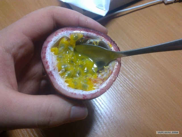 Социализм с человеческим лицом
