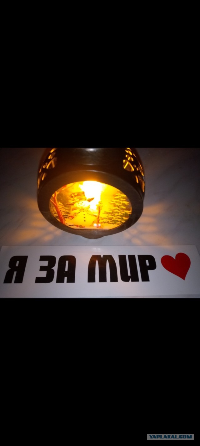 Даёшь котов в этот вторник!