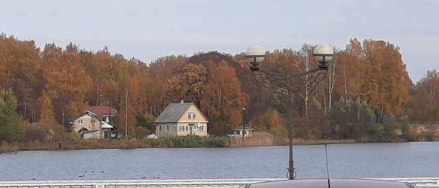 Зачем бабы вываливают сиськи?