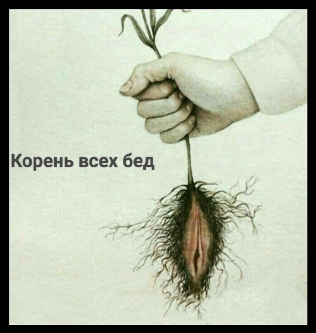 Увлекательная погоня в Бразилии