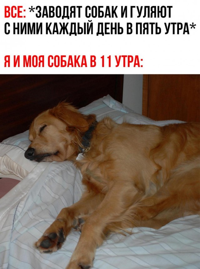 Картинки весёлые, вроде