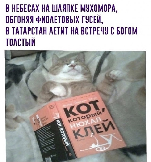Нуштош 01.07.2023