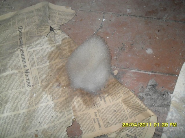 Чернобыль 2011