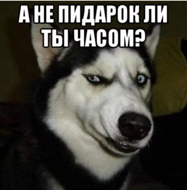 Развод на шиномонтажке