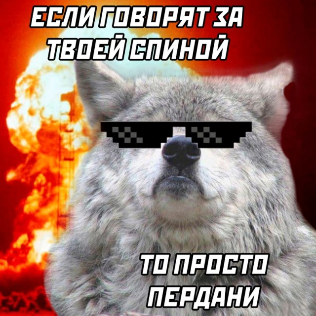 Весёлый полтишок 18.12.2023