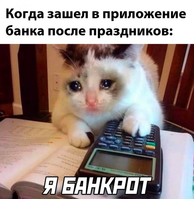 Весёлый полтишок 05.01.24