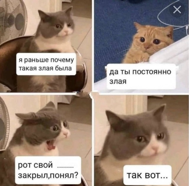 Ибо некуй!