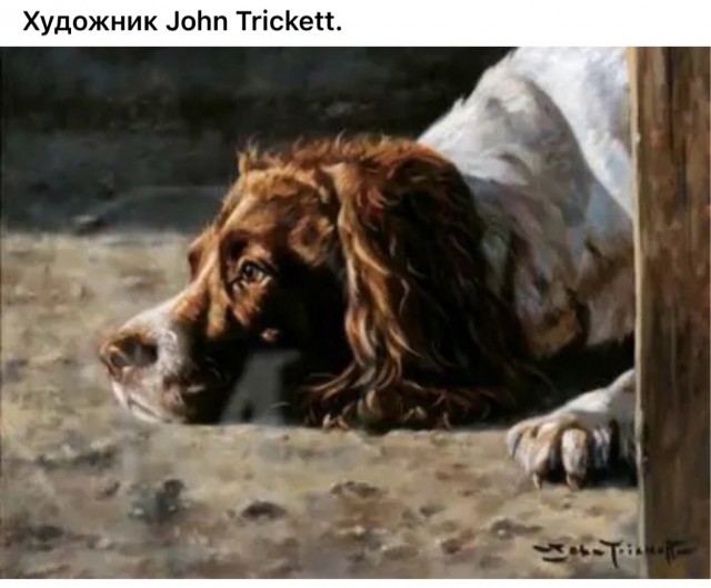 Арт-воскресенье