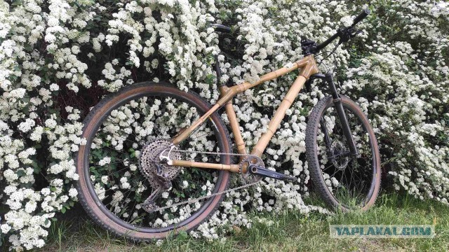 Мой кастом - велосипед ручной работы с самодельной бамбуковой рамой. Проехал 20 000км.
