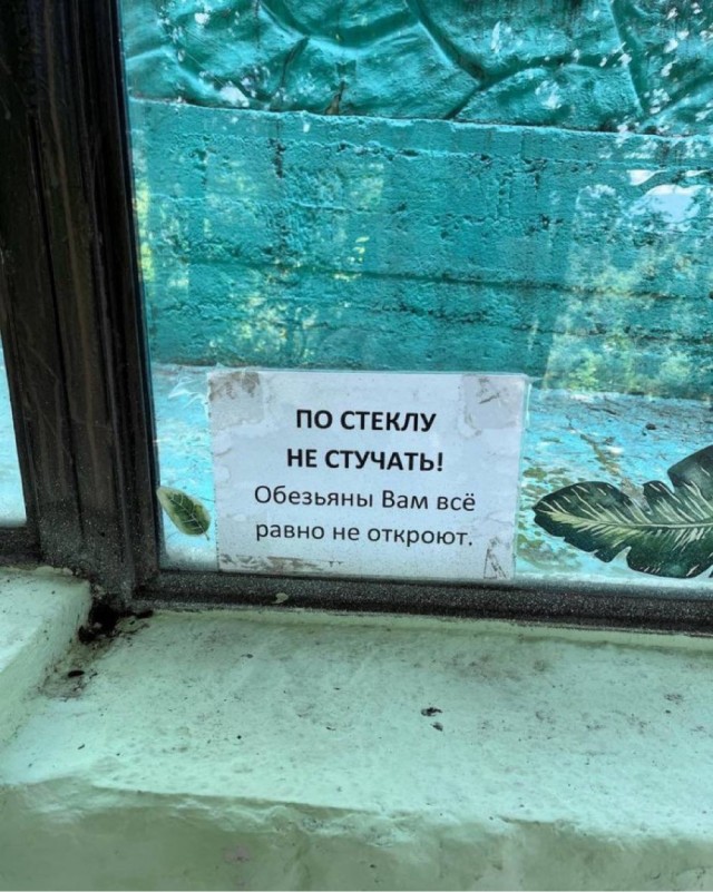 Немного забавных картинок