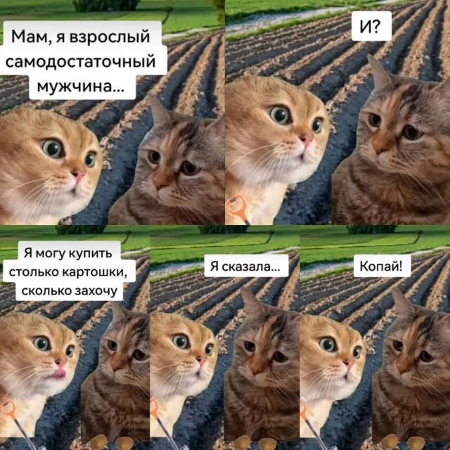 Завалялось тут случайно немного забавных картинок