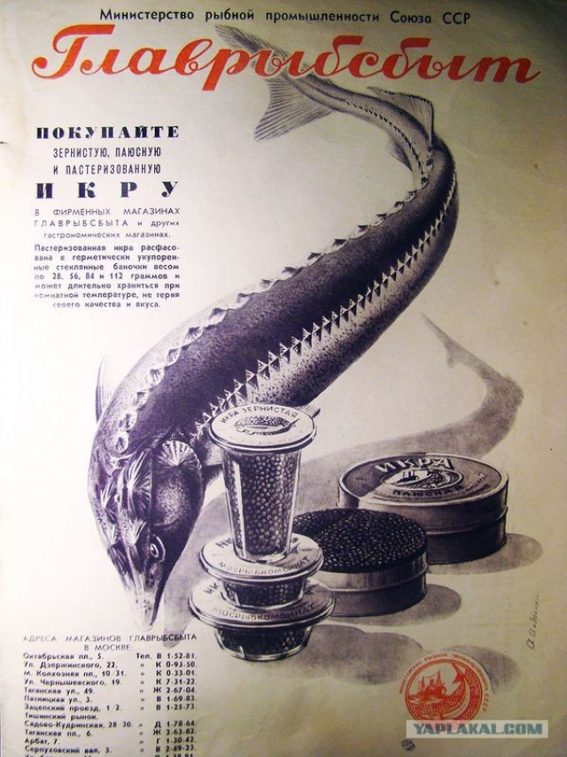 Фотографии из прошлого нашей страны – 70