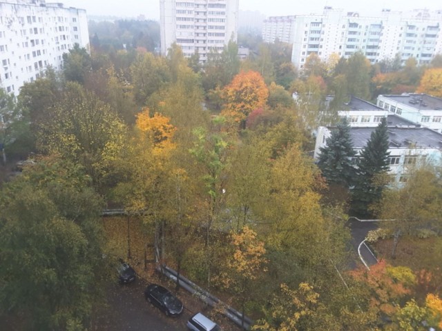 Вид из окна