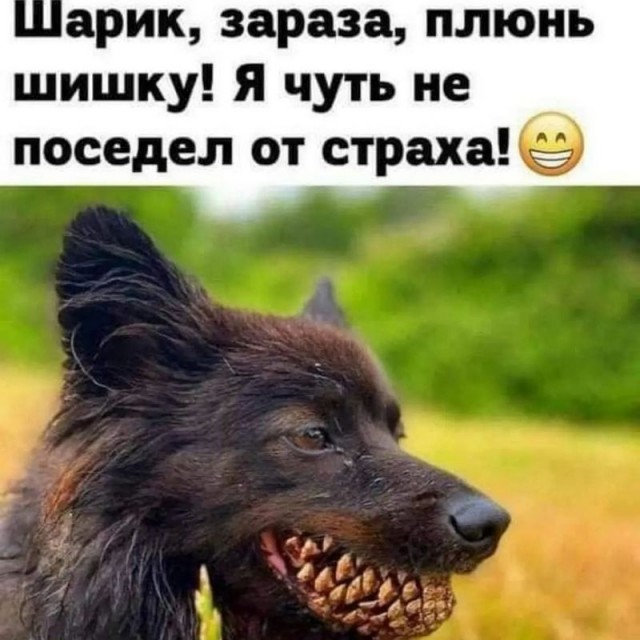 Завалялось тут случайно немного забавных картинок