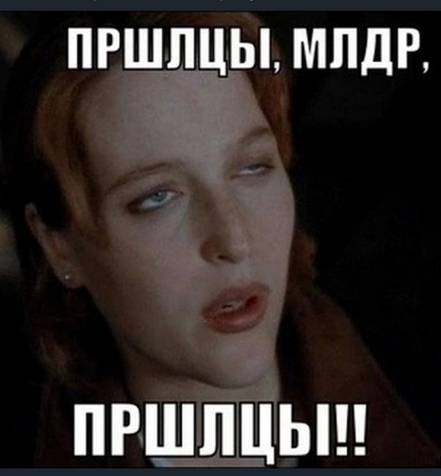 «Мы их нашли»