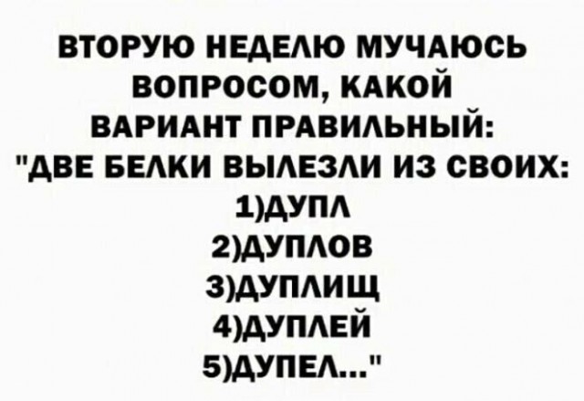 Немного забавных картинок от 22.12.24