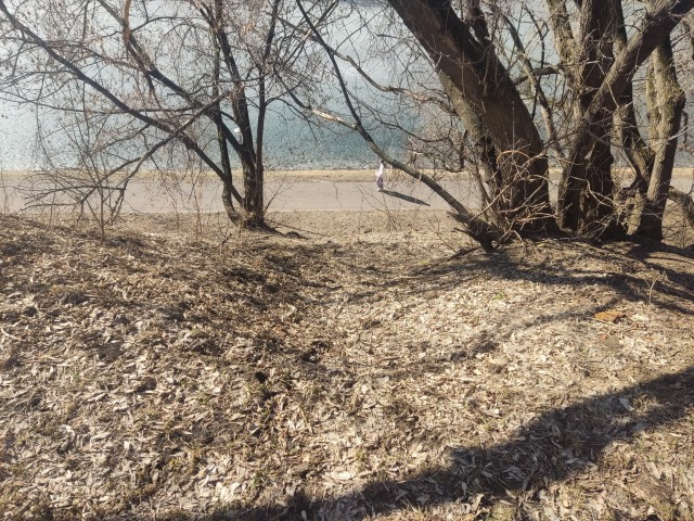 30 лет назад