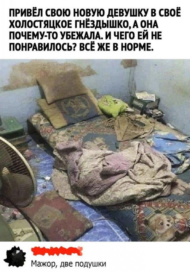 Так себе картинки 10.03.25