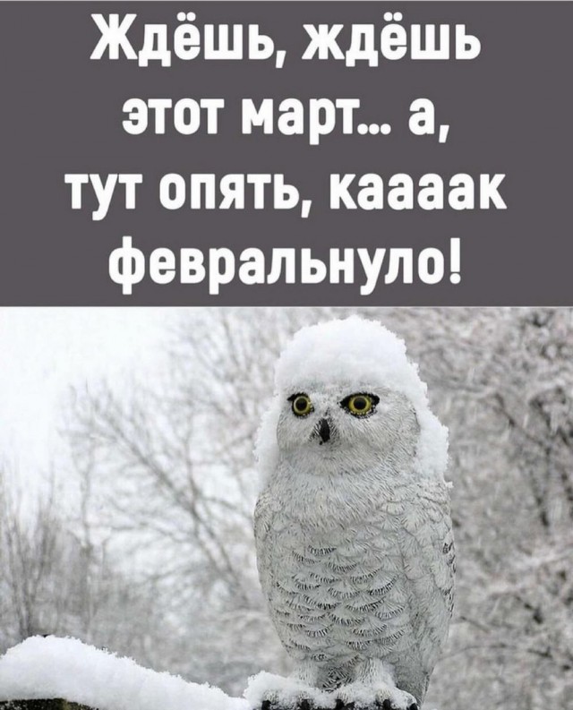 Так себе картинки 15.03.25