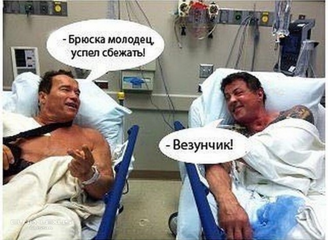 Герои боевиков от Шварца и Слая