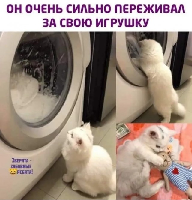 Завалялось тут случайно немного забавных картинок