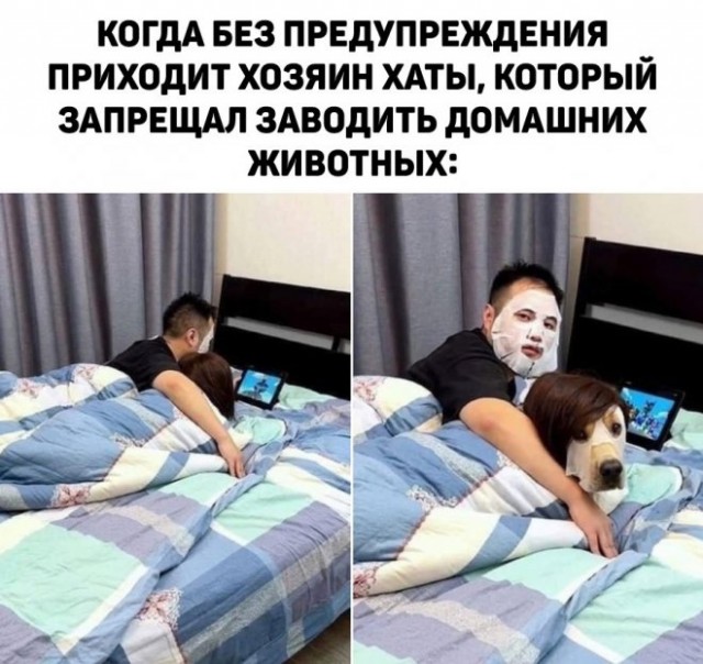 Веселые картинки в понедельник 28.04
