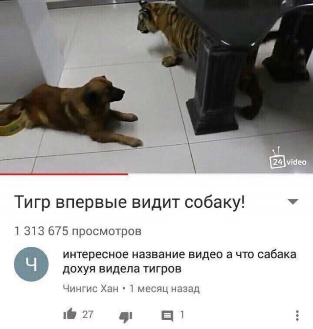 Весёлый полтишок 14.05.25.