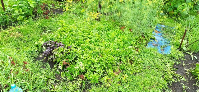 У всех бед одно начало