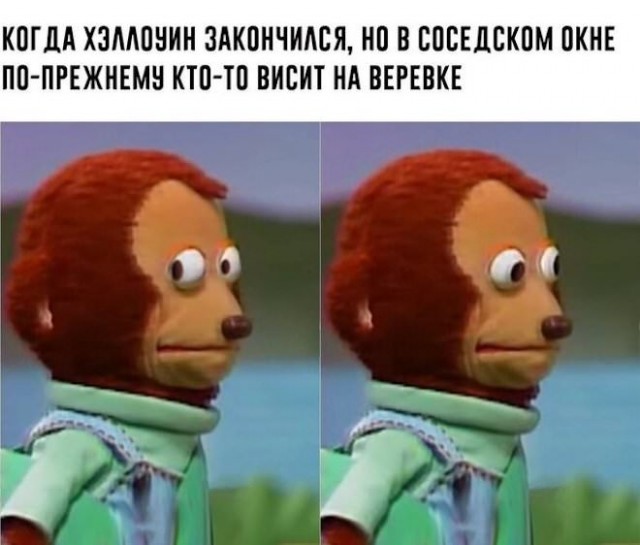 Веселые картинки в маленькую пятницу (06.08)