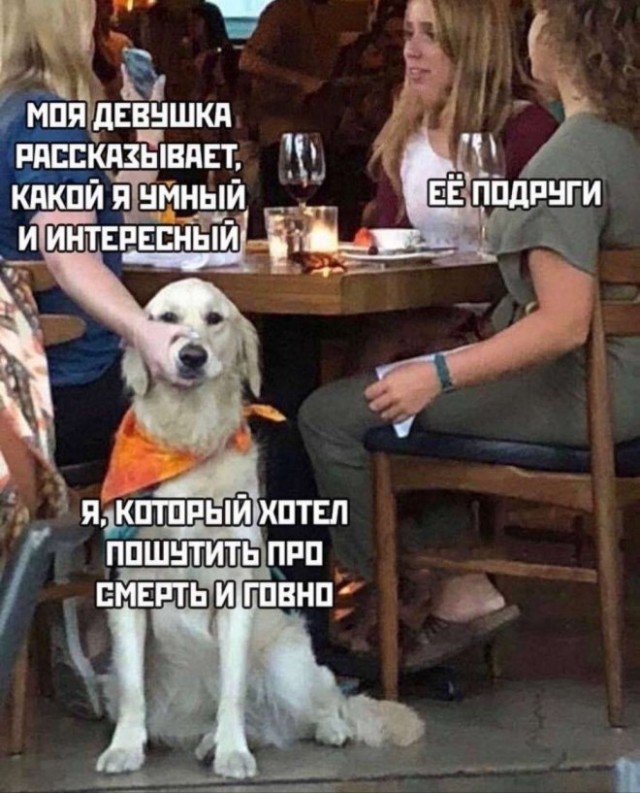 Картинки для деградации 24 (разной степени свежести)