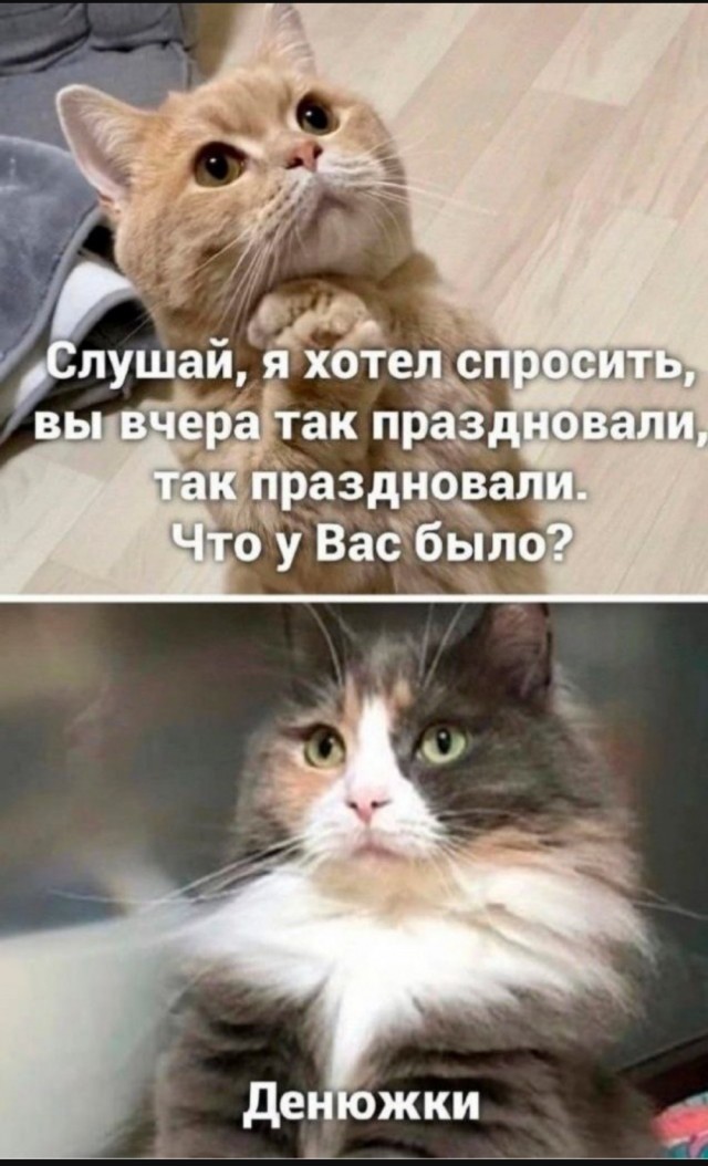 Так себе картинки 19.08.25