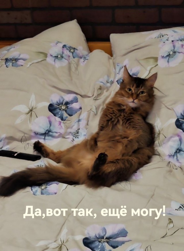 Наш Иннокентий (Кеша)