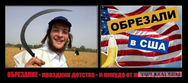 Любите ли вы жопки, как люблю их я?!
