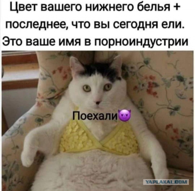 Деградация с баяном