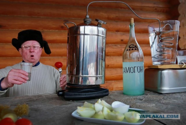 Москвичи рассказали россиянам какую водку лучше покупать в магазине