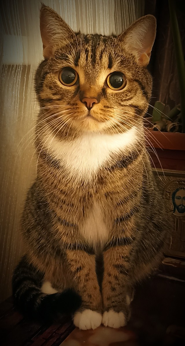 Было — Стало