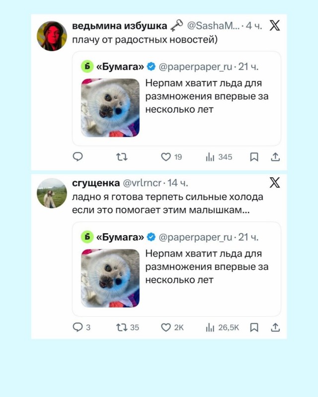 Санкт-Петербург получил мотивацию перетерпеть морозы.