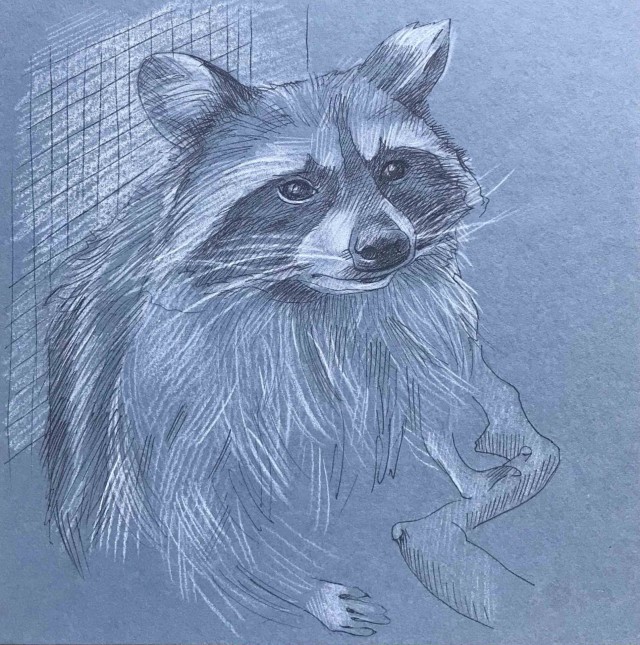 Рисунки животных