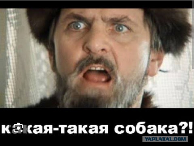Глава ВТБ Костин: Экономика России — это 80-летний дед, который занимается сексом со свистом в ушах