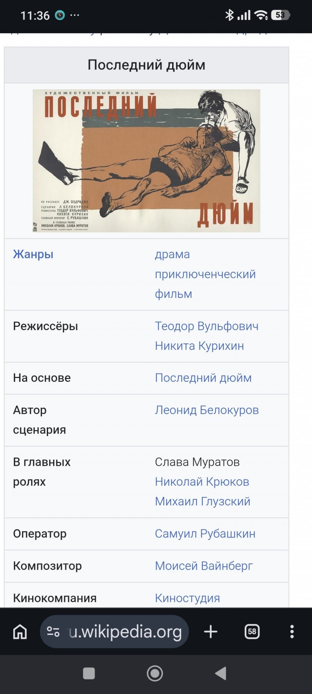 Почему акулы часто нападают на купающихся в Египте?