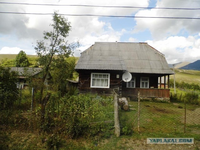В Карпатах