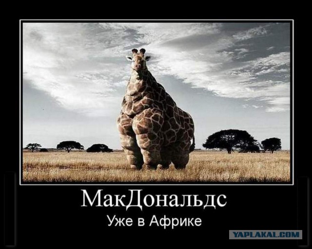 Как все устроено: Работник McDonald’s