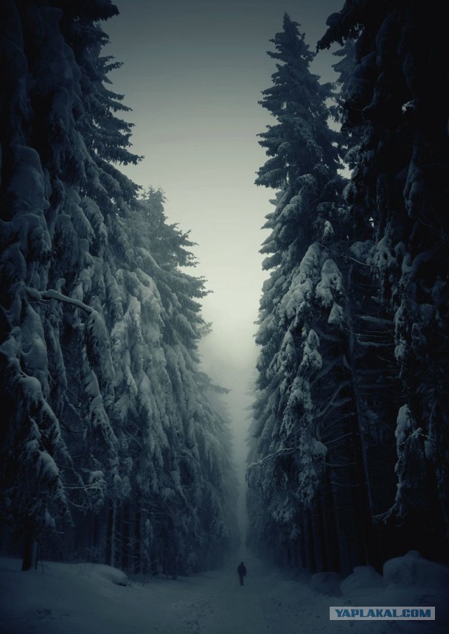 Обо всем