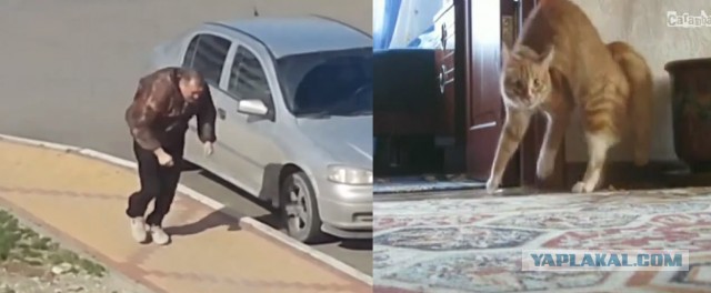 Ужасный ветер в Геленджике 10 марта 2014