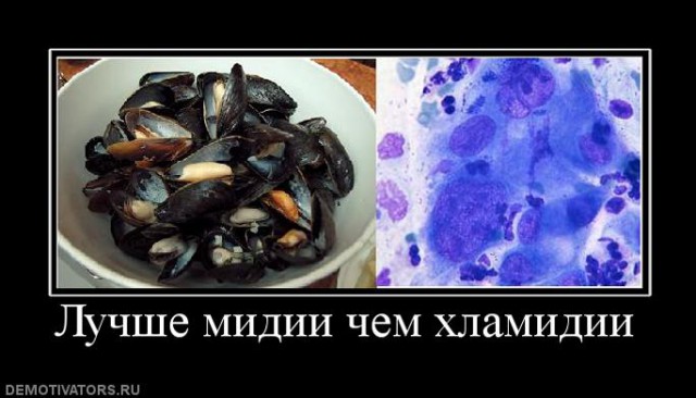 Мидии в в створках, запеченные