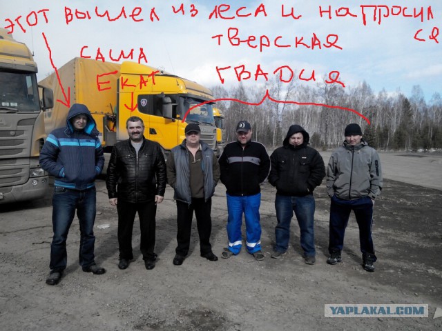 Озеленение Владивостока.