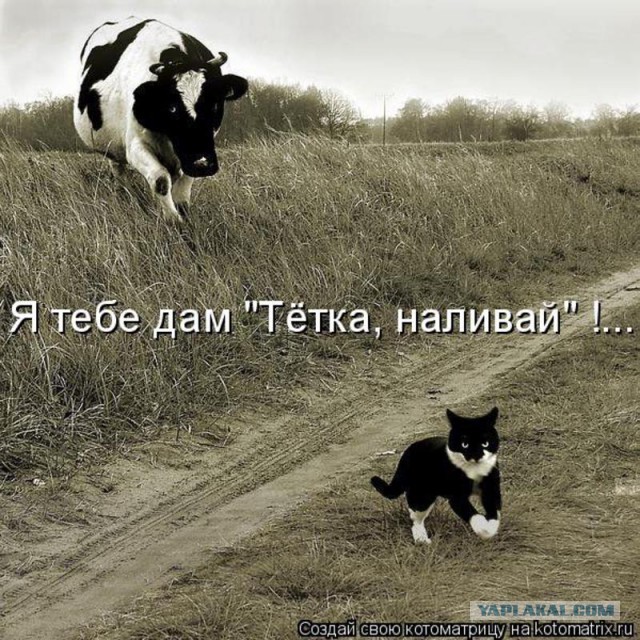 Чёрт, чёрт, чёрт!