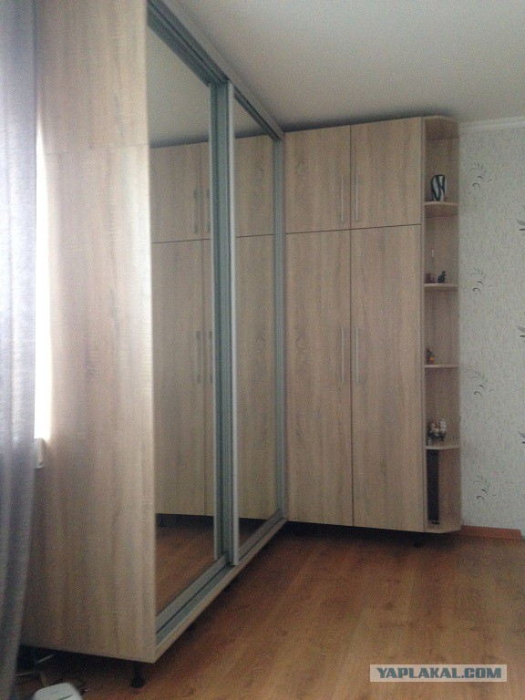 В моём шкафу растут грибы...