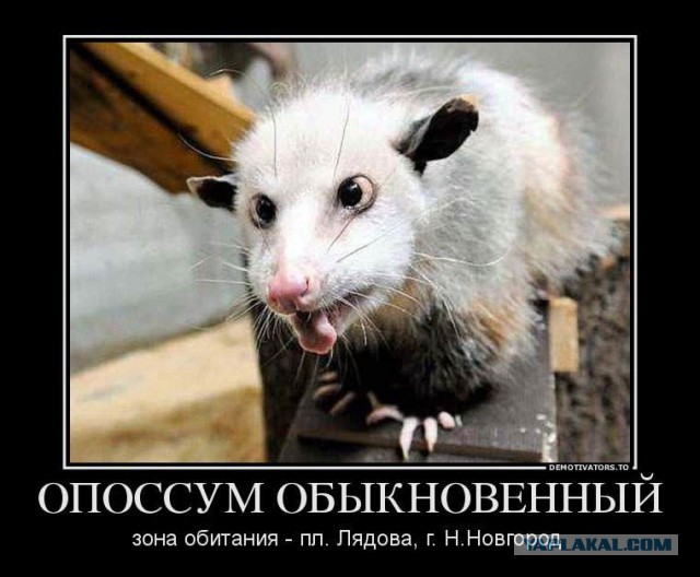 Вышел на крыльцо и
